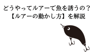 魚を誘う ルアーの動かし方 色々なアクションで魚を魅了せよ