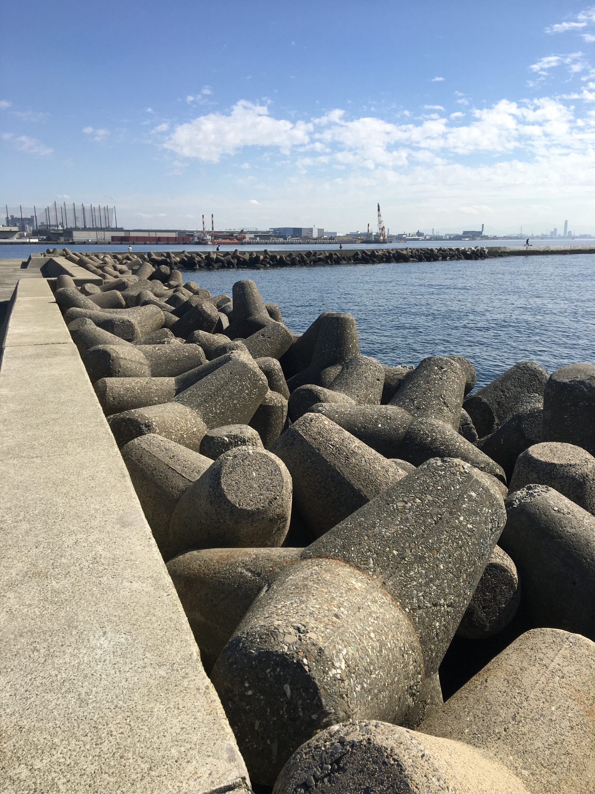 ロックフィッシュの釣り方は 障害物に潜む 根ざかな をルアーで狙う 俺の趣味