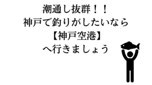 神戸市内は岸壁での釣りは全面禁止 これは 条例違反 です