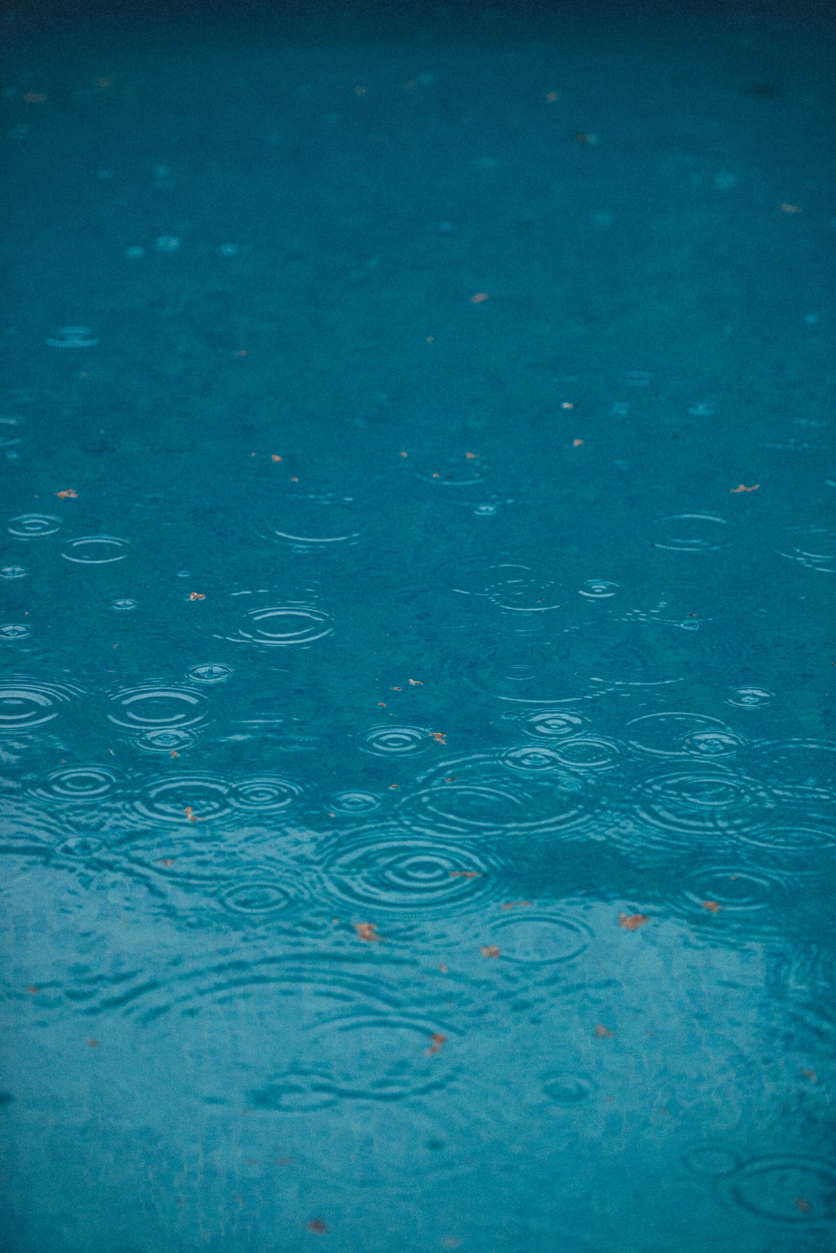 雨の日は魚が釣れるのか 雨の影響と釣れる魚について解説します